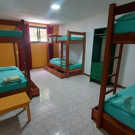 Surf House Hostel-3